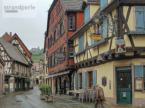 Alte bunte Fachwerkhäuser im Zentrum der Altstadt  Ribeauville  Rappoltsweiler  Rappschwihr  Grand Est  Haut-Rhin  Elsass  Alsace  Frankreich  Europa