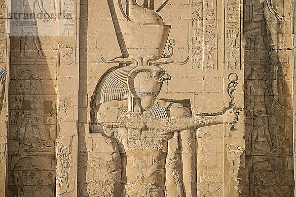 Relief Hauptgott des Tempels Hor-Behdeti (Horus von Edfu) auf dem Pylon  Horus-Tempel  Edfu  Ägypten  Afrika