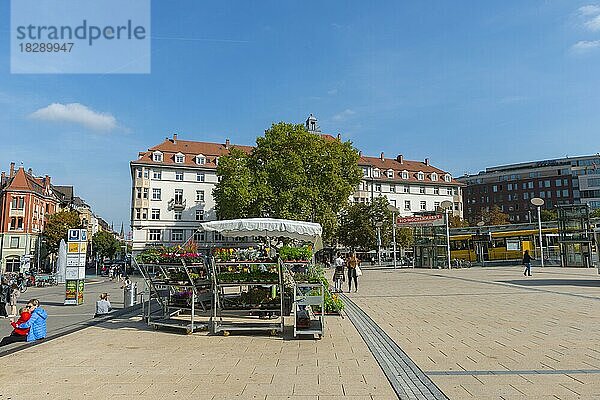 Marienplatz Stuttgart  Stuttagrt-Süd  Wochenmarkt  Zacke Zahnradbahn  Baden-Württemberg  Deutschland  Europa