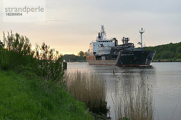 Tankschiff fährt bei Sonnenaufgang durch den Nord-Ostsee-Kanal  Schleswig-Holstein  Deutschland  Europa