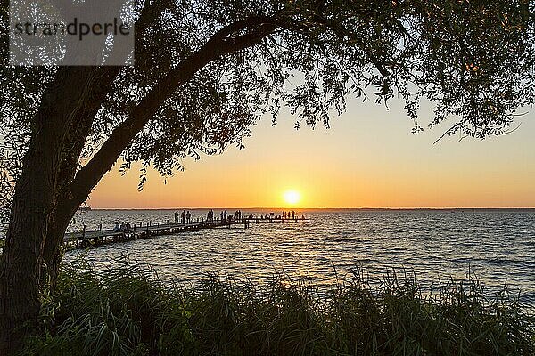 Touristen beobachten den Sonnenuntergang vom Steg am Steinhuder Meer im Sommer  Mardorf  Niedersachsen  Deutschland  Europa