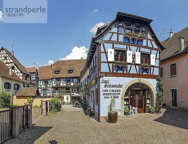 Bunte Fachwerkhäuser im Zentrum der Altstadt  Eguisheim  Haut-Rhin  Alsace  Elsass  Frankreich  Europa