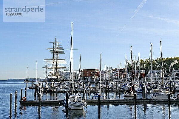 Yachthafen mit Segelschiff Passat  Priwall  Travemünde  Lübeck  Schleswig-Holstein  Deutschland  Europa