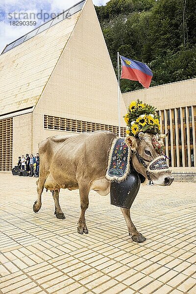 Alpabfahrt-Pradamee durch das Städtle  Vaduz  Liechtenstein  Europa