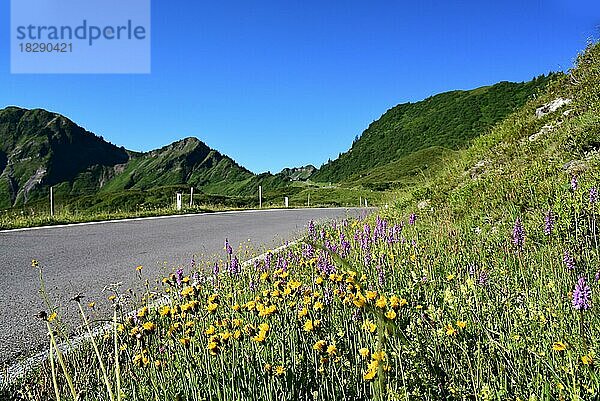 Der Furkapass im Bregenzerwald  im Hintergrund das Furkajoch (1759 m)  Vorarlberg  Österreich Europa