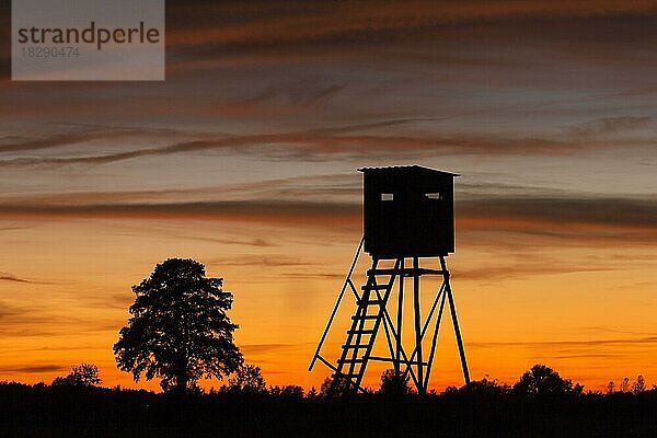 Hochsitz auf einer Wiese  Feldsilhouette im Sonnenuntergang im Herbst