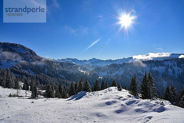 Blick von der Mittelalpe oberhalb des Riedbergpasses in die Kleinwalstertaler Berge  rechts der Hohe Ifen (2230 m)  Allgäu  Schwaben  Bayern  Deutschland  Europa