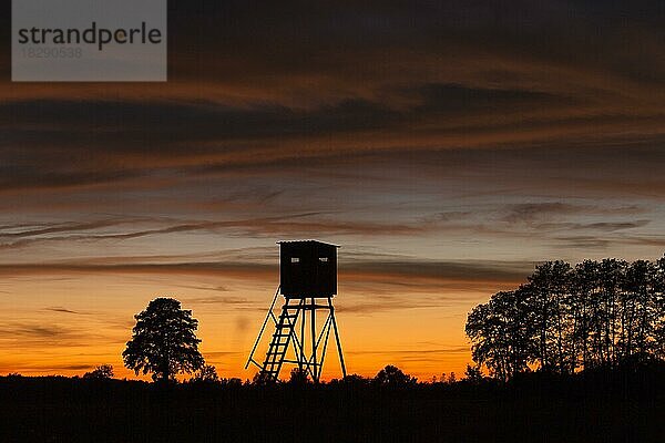 Hochsitz auf einer Wiese  Feldsilhouette im Sonnenuntergang im Herbst