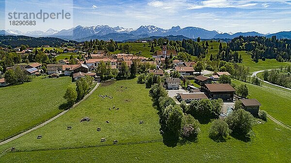 Blick auf das Dorf Seeg im Allgäu  im Hintergbrund die Allgäuer Alpen  Schwaben  Bayern  Deutschland  Europa