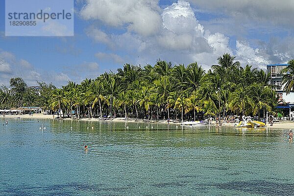 Playa Boca Chica  Palmenstrand  Boca Chica  Dominikanische Republik  Karibik  Mittelamerika