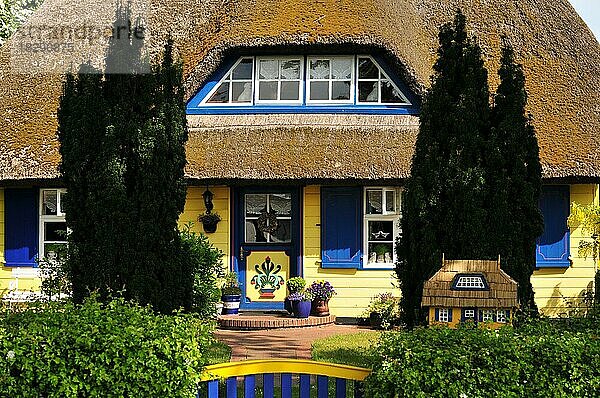 Reetdach gedecktes Haus auf dem Darß  Mecklenburg-Vorpommern  Deuschland