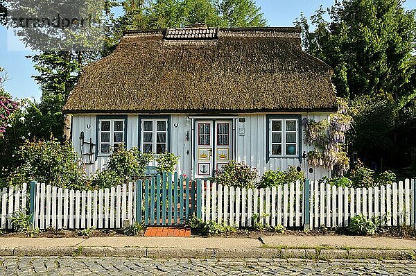 Reetdach gedecktes Haus auf dem Darß  Mecklenburg-Vorpommern  Deuschland