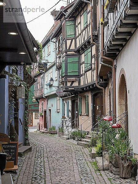 Bunte Fachwerkhäuser im Zentrum der Altstadt  Eguisheim  Grand Est  Haut-Rhin  Alsace  Elsass  Frankreich  Europa