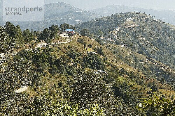 Terrassenfelder im Kafalchur Tal  Nagarkot  Provinz Bagmati  Distrikt Bhaktapur  Nepal  Asien