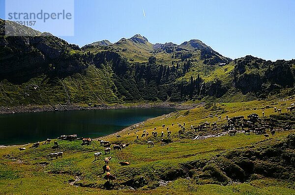 Formarinsee  Dalaas  Lechquellengebirge  Vorarlberg  Österreich  Europa