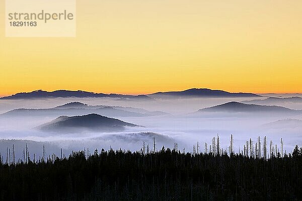 Blick vom Berg Lusen über den nebelverhangenen Bayerischen Wald bei Sonnenaufgang  Nationalpark Bayerischer Wald  Bayern  Deutschland  Europa