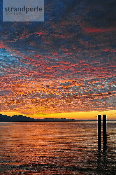 Sonnenuntergang  Bodensee  bei Lochau  Vorarlberg  Österreich  Europa