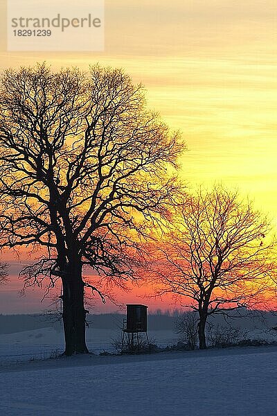 Hochstand für die Hirschjagd auf einem Feld im Schnee im Winter  Silhouette gegen Sonnenuntergang  Deutschland  Europa