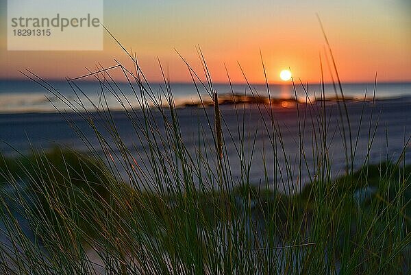 Sonnenuntergang in den Dünen bei Surville in der Normandie  Frankreich  Europa