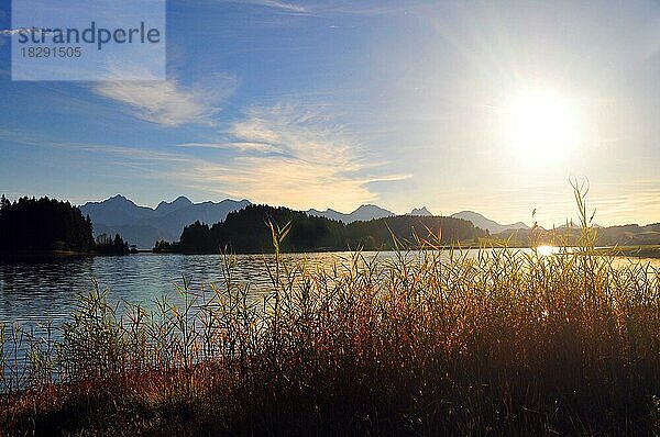 Sonnenuntergang am Forggensee  Ostallgäu  Allgäu  Schwaben  Bayern  Deutschland  Europa