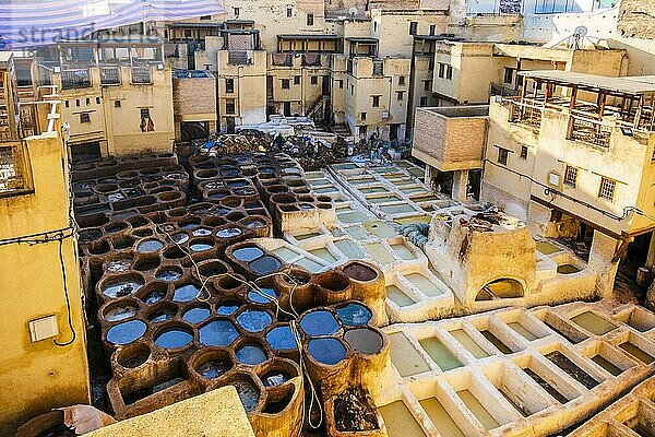 Berühmte Gerberei im sonnigen Fez  Marokko  Nordafrika  Afrika