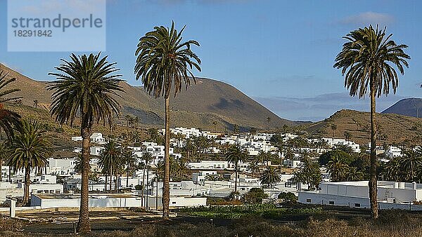 Weiße Häuser  Palmen  Hügel  Blauer Himmel  weiße Wolken  Haria  Norden  Lanzarote  Kanarische Inseln  Spanien  Europa