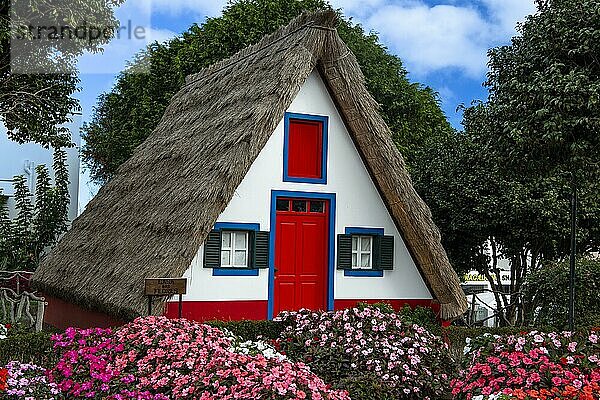 Traditionelles strohgedecktes Haus in Santana  Casa de Colmo  Insel Madeira  Portugal  Europa