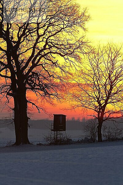 Hochstand für die Hirschjagd auf einem Feld im Schnee im Winter  Silhouette gegen Sonnenuntergang  Deutschland  Europa