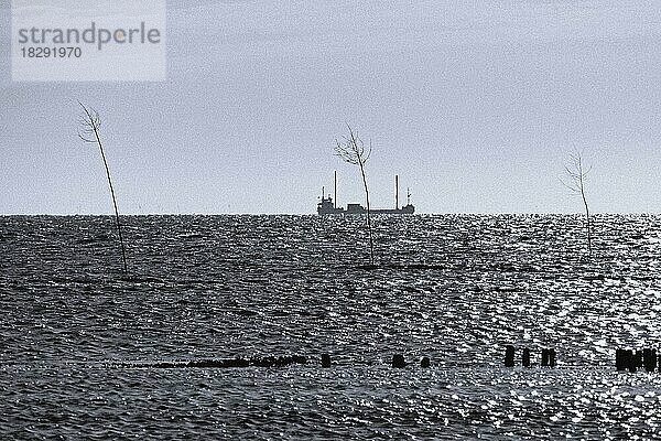 Uferbefestigung und zwei Priggen an der Hafeneinfahrt von Spieka Neufeld  Landkreis Cuxhaven  Deutschland  Europa  grobkörnige Aufnahme  Europa