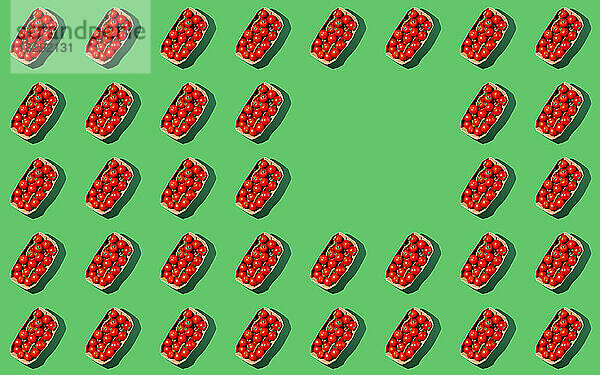 Frische und rote Bio-Kirschtomaten in Kisten auf grünem Hintergrund