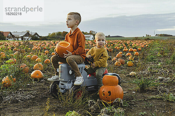 Boy with brother on toy tractor in pumpkin patch