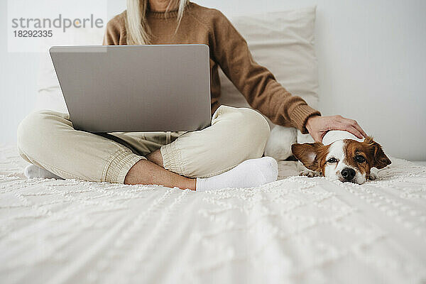 Frau benutzt Laptop und streichelt Hund im Bett