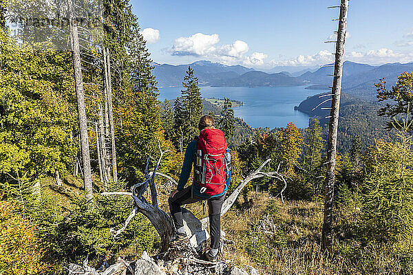 Germany  Bavaria  Female hiker looking toward Walchensee Lake seen from summit in Ester Mountains