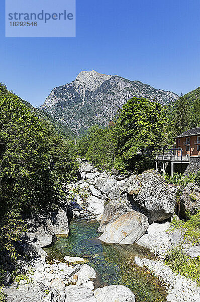 Switzerland  Ticino Canton  Small stream flowing through Lavizzara Valley in summer