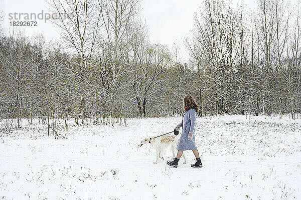 Reife Frau geht mit Windhund im Winterpark spazieren