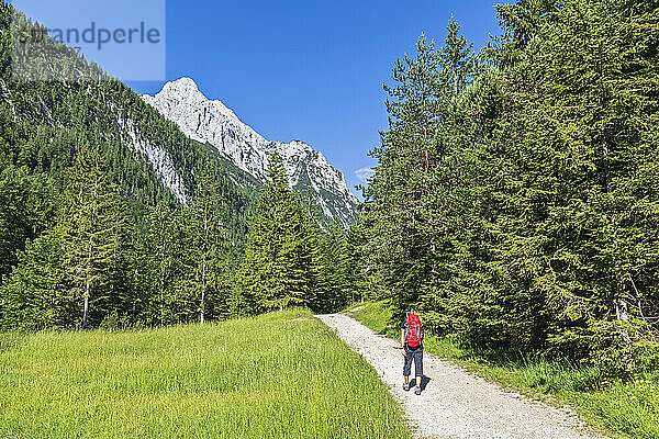 Germany  Bavaria  Female hiker following trail in Wetterstein mountains