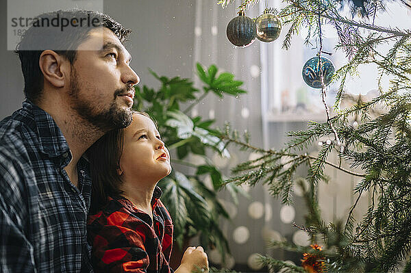 Vater und Sohn betrachten den geschmückten Weihnachtsbaum