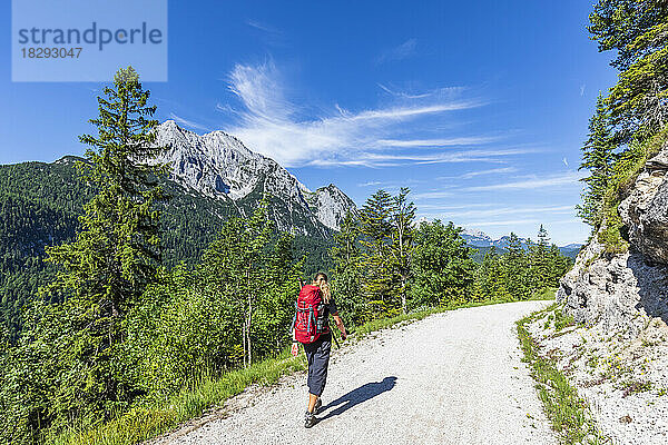 Deutschland  Bayern  Wanderin folgt Wanderweg im Wettersteingebirge