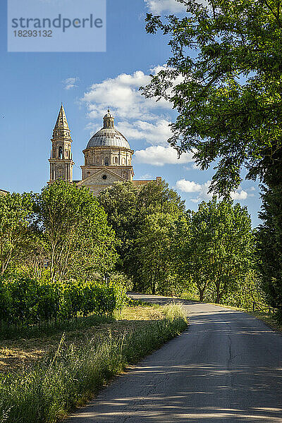 Italien  Toskana  Montepulciano  grüne Bäume umgeben den Fußweg  der zur Kirche San Biagio führt