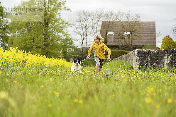 Junge läuft mit Border-Collie-Hund auf dem Feld