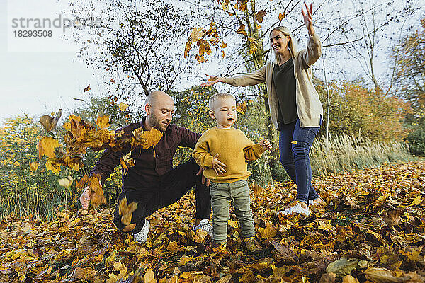 Verspielte Familie wirft Herbstblätter mit kleinem Jungen  der sich im Wald vergnügt