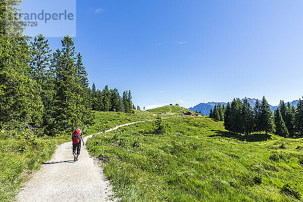 Deutschland  Bayern  Wanderin folgt Wanderweg im Wettersteingebirge