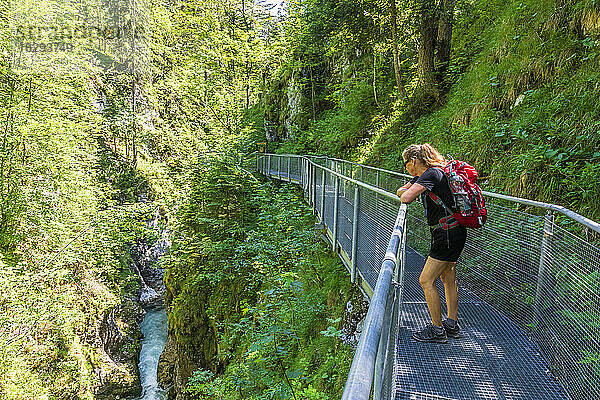 Österreich  Wanderin bewundert den Fluss Leutascher Ache  der durch die Leutaschklamm fließt