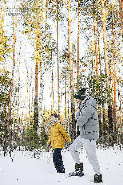 Glücklicher Sohn mit Vater  der einen Baum im Winterwald trägt