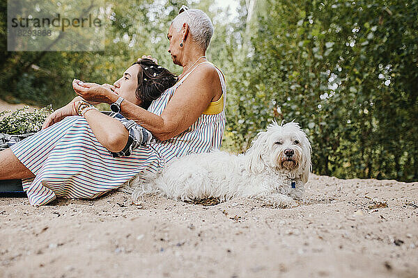 Freunde sitzen im Park neben Hund im Sand