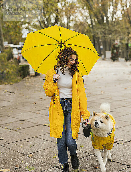 Glückliche schöne Frau hält Regenschirm und geht mit Hund am Fußweg spazieren