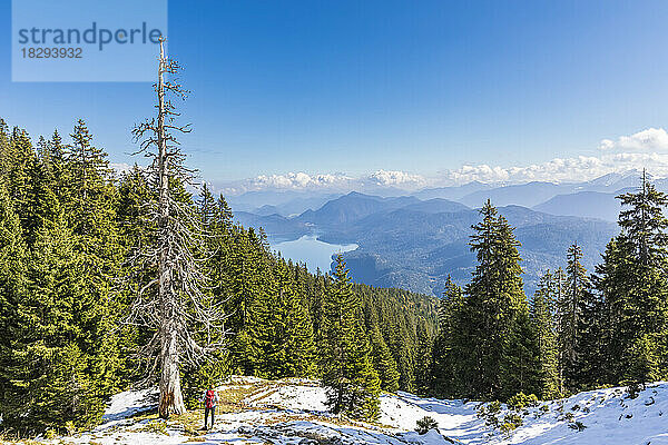 Deutschland  Bayern  Wanderin blickt vom Gipfel im Estergebirge auf den Walchensee