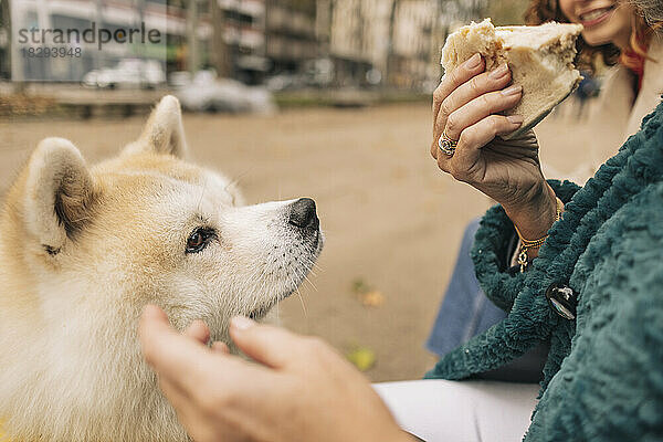Ältere Frau hält Sandwich und sitzt mit Hund