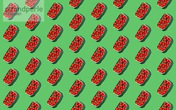 Cherry tomatoes arranged in boxes on green background
