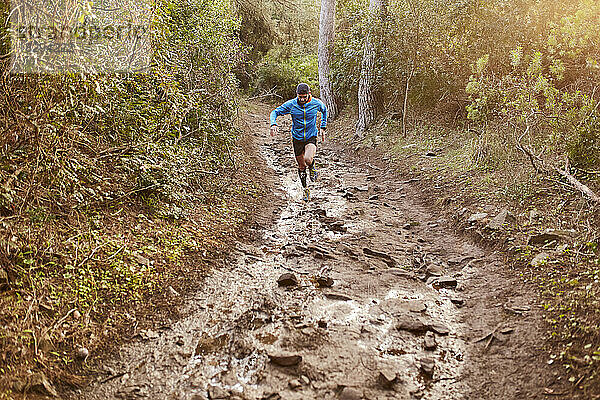 Mann Trailrunning auf unbefestigter Straße im Wald am Morgen